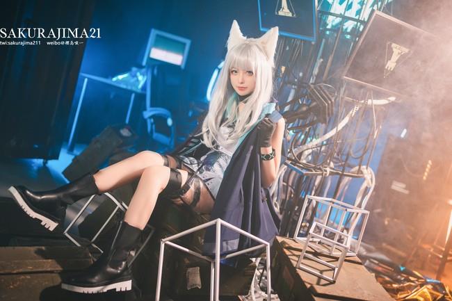 舟游」迷迭香正片-品图吧