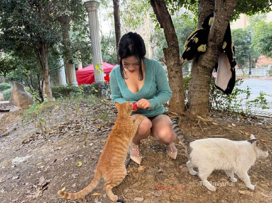 芳姨 2025-12-15 11:48:11 想做我的猫吗 喂你吃饭?-品图吧